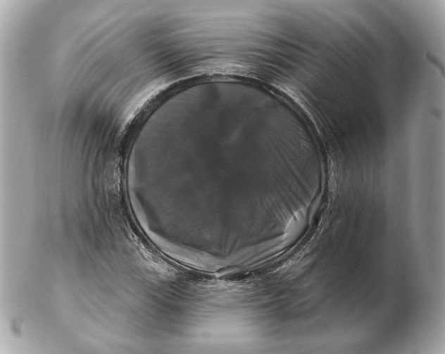 X0000102491115200808291643