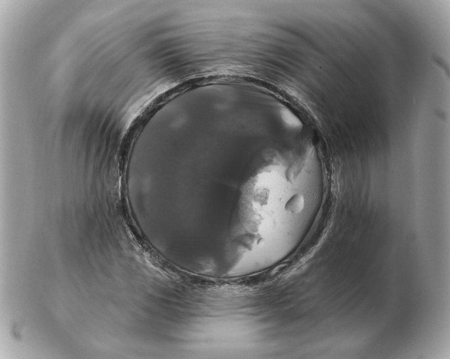 X0000102491117200808291643