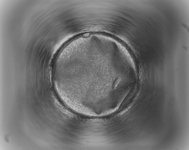 X0000102491118200808291643