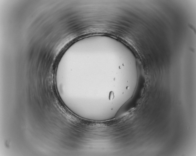 X0000102491119200808291643