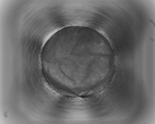 X0000102491120200808291643