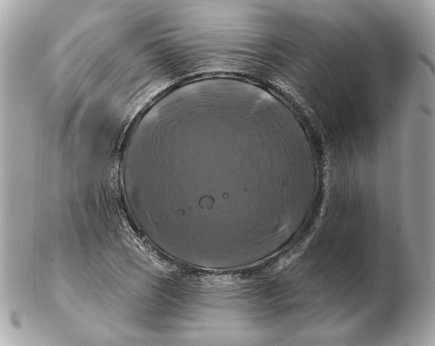 X0000102491121200808291643