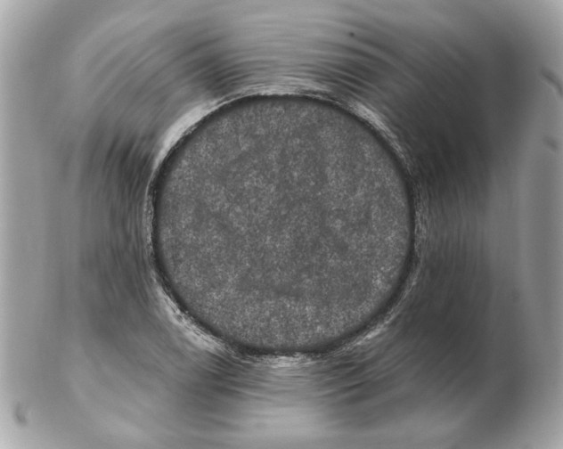 X0000102491122200808291643