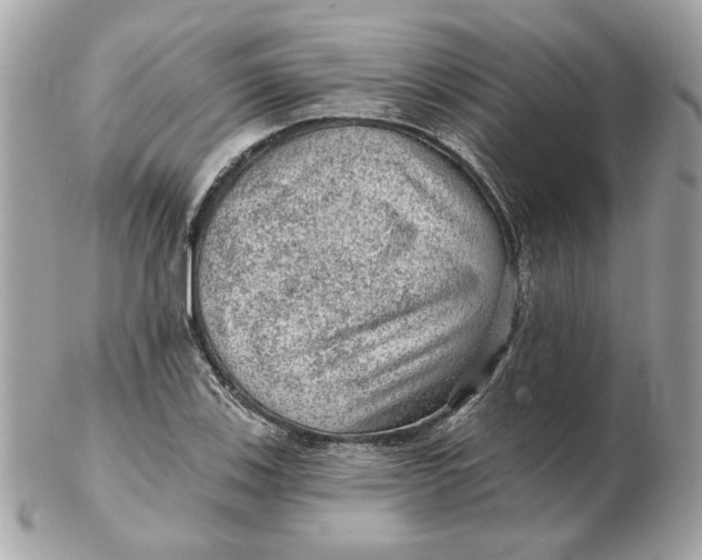 X0000102491123200808291643