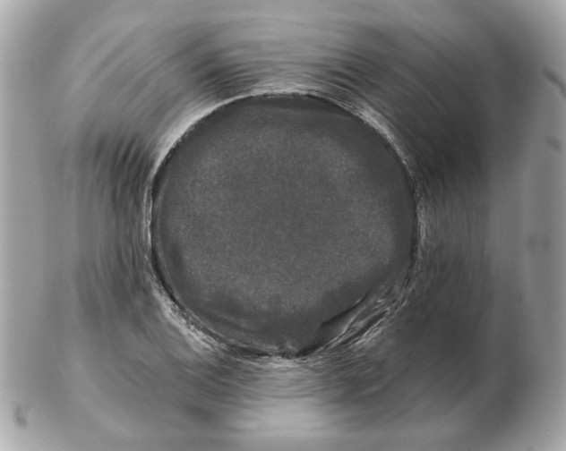 X0000102491124200808291643