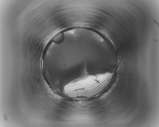 X0000102491125200808291643