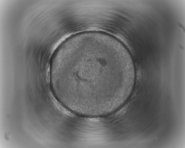 X0000102491126200808291643