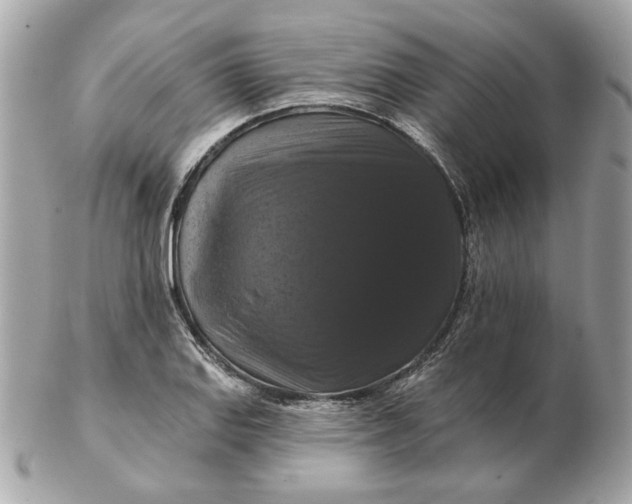 X0000102491127200808291643