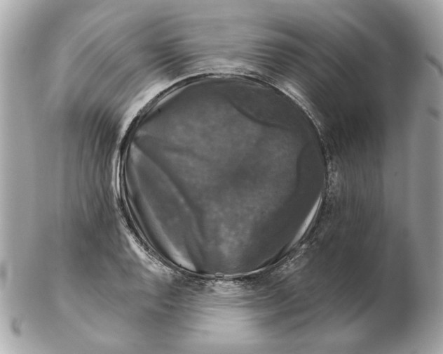 X0000102491128200808291643