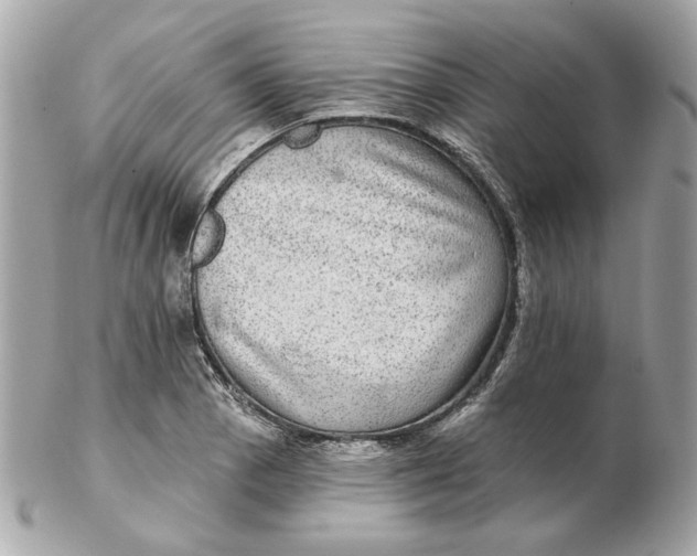 X0000102491129200808291643