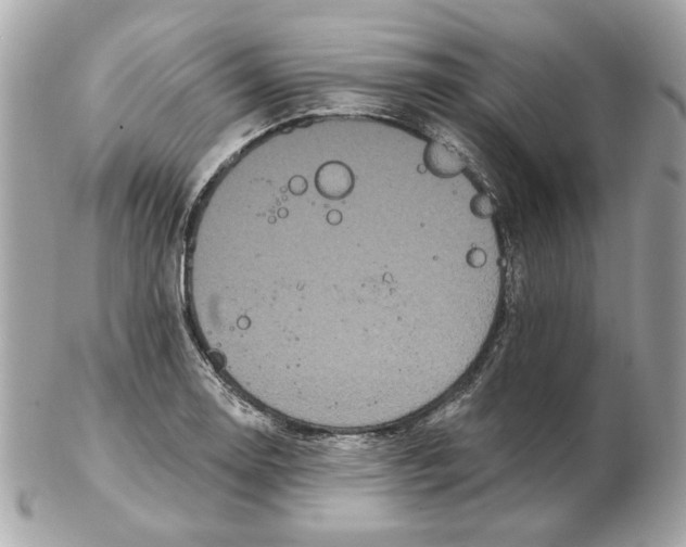 X0000102491130200808291643