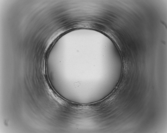 X0000102491131200808291643