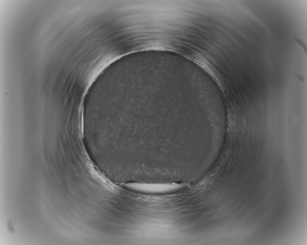 X0000102491132200808291643