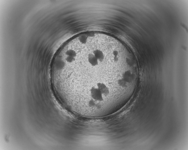 X0000102491133200808291643