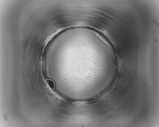 X0000102491134200808291643