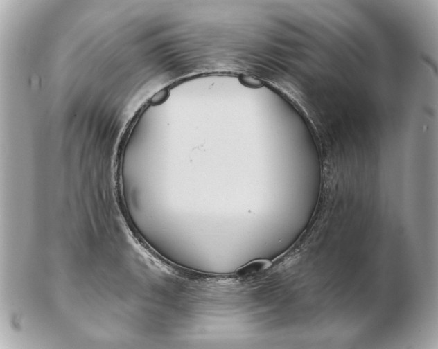 X0000102491135200808291643