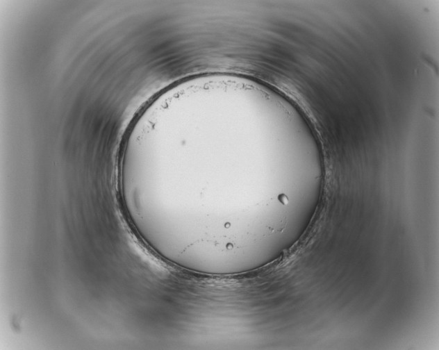 X0000102491136200808291643