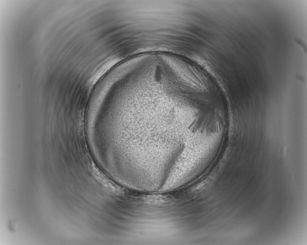 X0000102491137200808291643