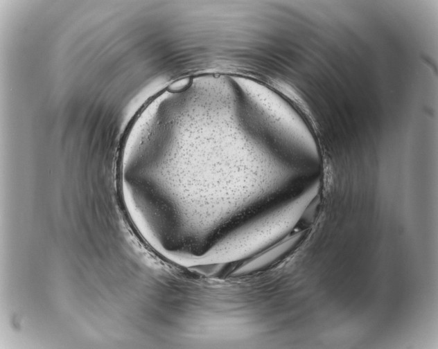 X0000102491138200808291643