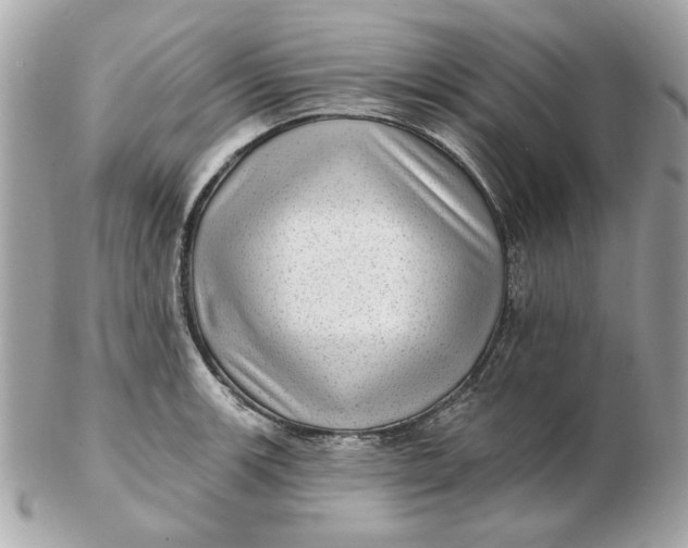 X0000102491139200808291643