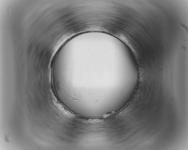 X0000102491140200808291643