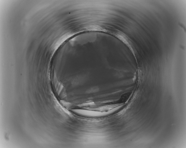 X0000102491141200808291643