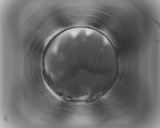 X0000102491142200808291643