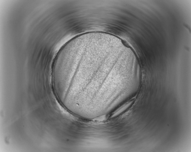 X0000102491143200808291643