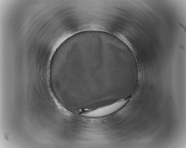 X0000102491144200808291643