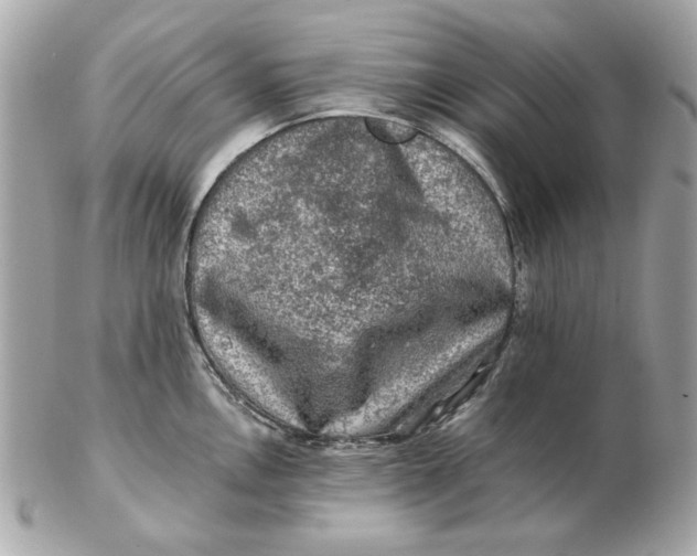 X0000102491146200808291643