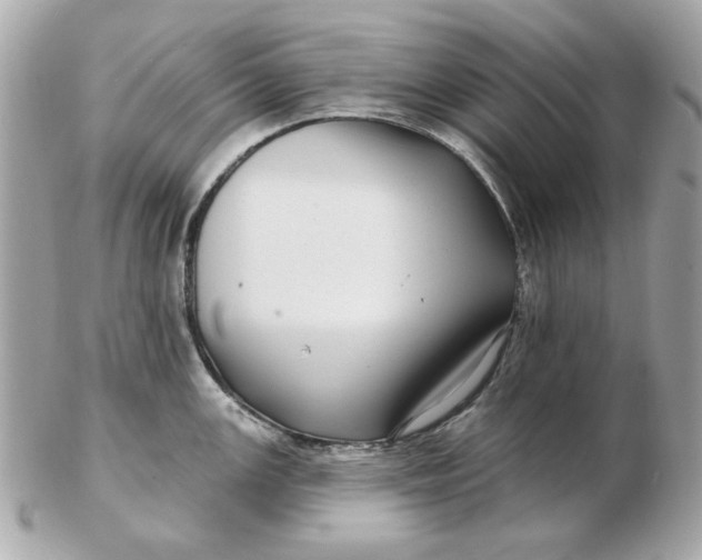 X0000102491147200808291643