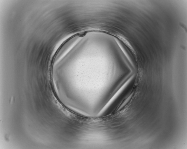 X0000102491148200808291643