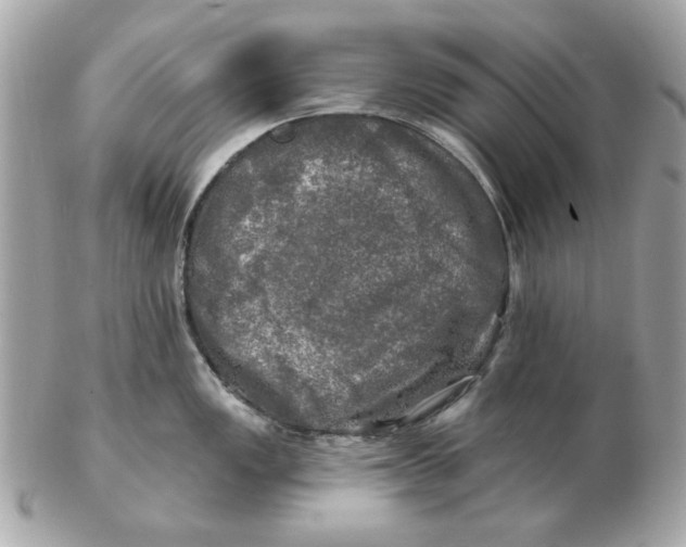 X0000102491149200808291643