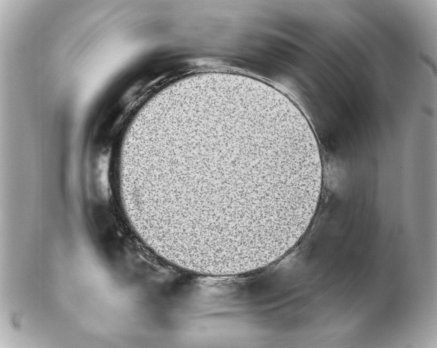 X0000102491150200808291643