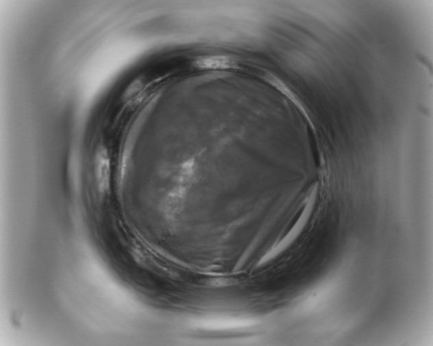 X0000102491151200808291643