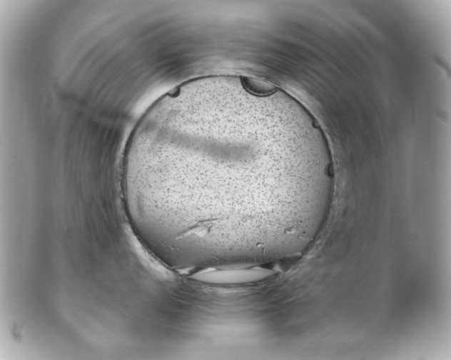 X0000102491152200808291643