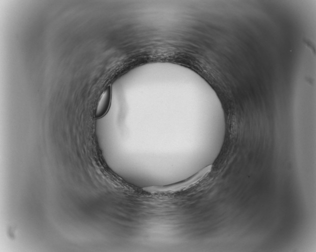 X0000102491153200808291643