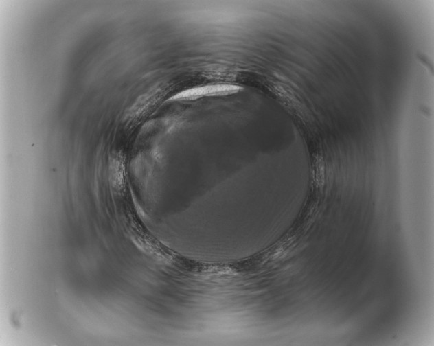 X0000102491154200808291643