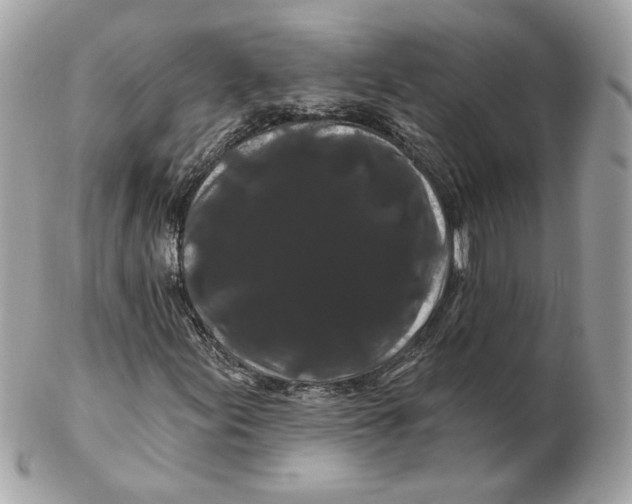 X0000102491155200808291643