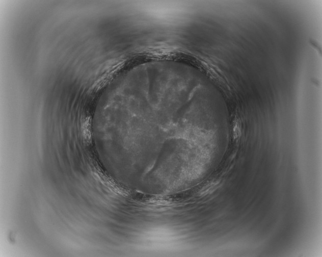 X0000102491156200808291643