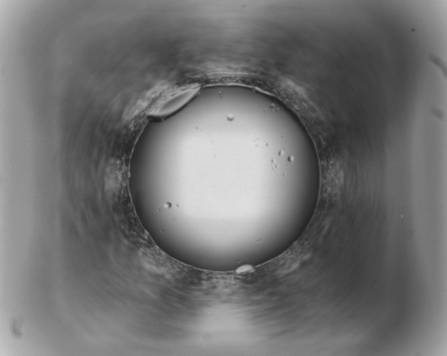 X0000102491157200808291643