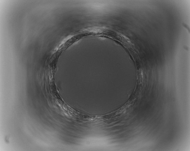 X0000102491158200808291643