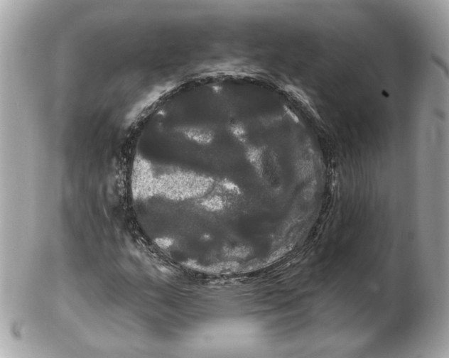 X0000102491159200808291643