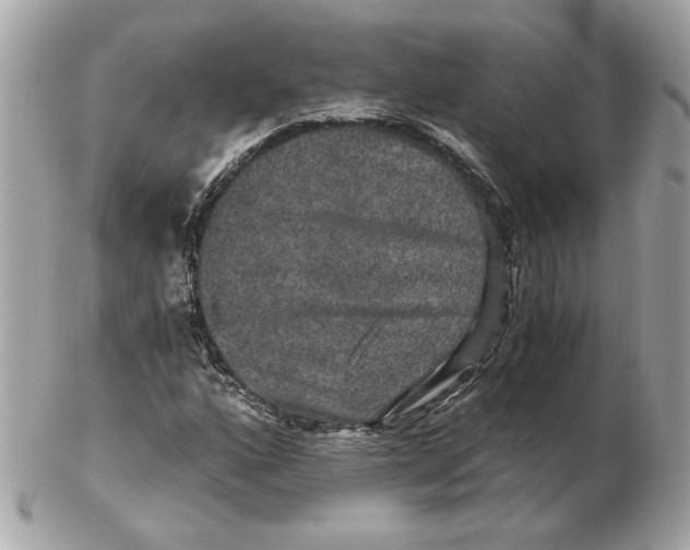 X0000102491160200808291643