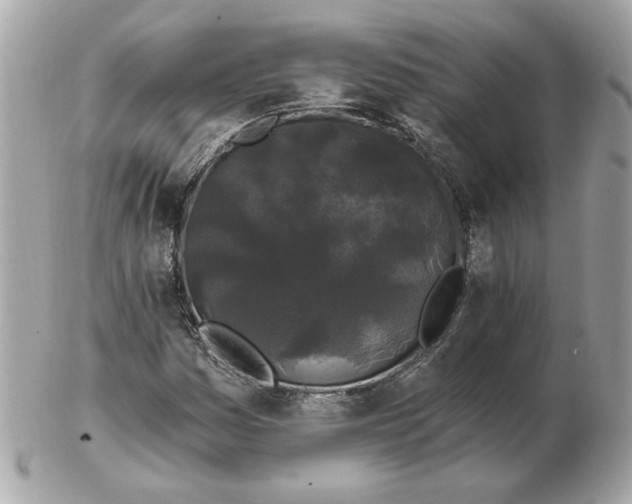 X0000102491161200808291643