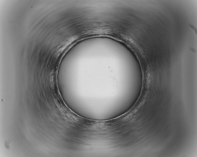 X0000102491162200808291643