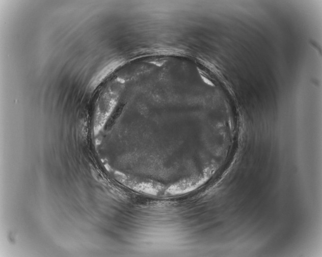 X0000102491163200808291643