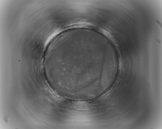 X0000102491164200808291643