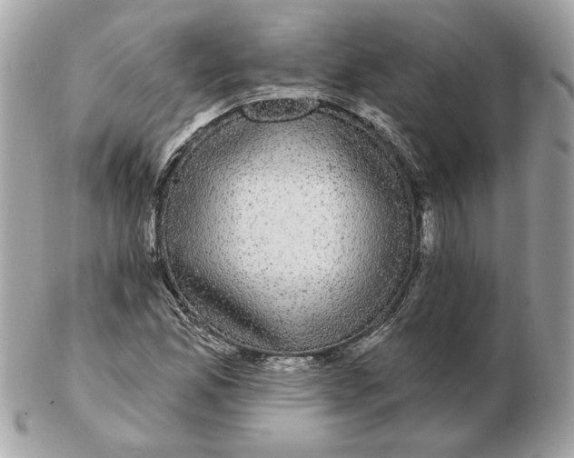 X0000102491165200808291643