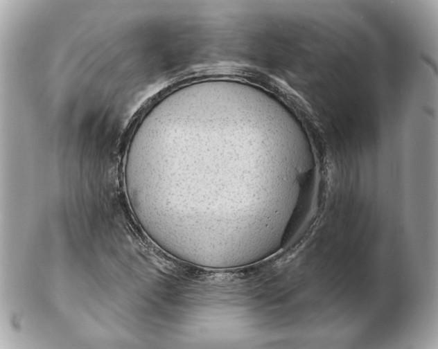 X0000102491166200808291643